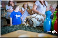 LCFAIR15-7735.jpg