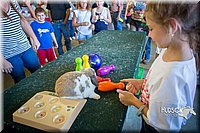 LCFAIR15-7745.jpg