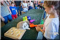 LCFAIR15-7746.jpg