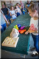 LCFAIR15-7748.jpg