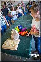 LCFAIR15-7749.jpg