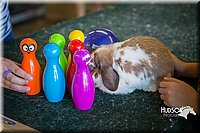 LCFAIR15-7751.jpg