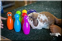 LCFAIR15-7752.jpg