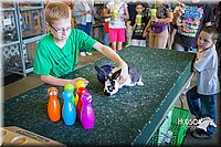 LCFAIR15-7754.jpg