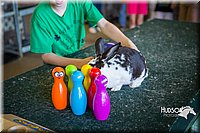 LCFAIR15-7755.jpg