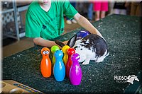 LCFAIR15-7757.jpg