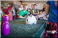 LCFAIR15-7764.jpg