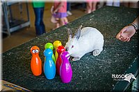 LCFAIR15-7767.jpg