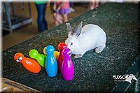 LCFAIR15-7768.jpg