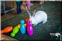 LCFAIR15-7770.jpg