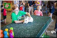 LCFAIR15-7772.jpg