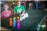 LCFAIR15-7775.jpg