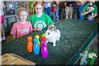 LCFAIR15-7778.jpg