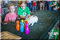LCFAIR15-7779.jpg