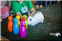 LCFAIR15-7782.jpg