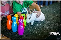 LCFAIR15-7783.jpg