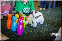 LCFAIR15-7784.jpg