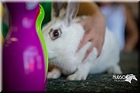 LCFAIR15-7787.jpg