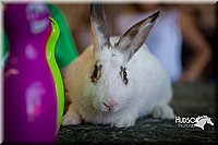 LCFAIR15-7788.jpg
