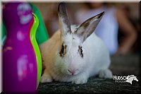 LCFAIR15-7789.jpg