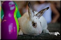 LCFAIR15-7790.jpg