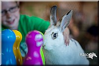 LCFAIR15-7793.jpg