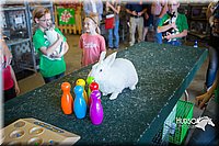 LCFAIR15-7795.jpg