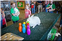 LCFAIR15-7796.jpg