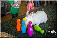 LCFAIR15-7797.jpg