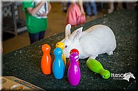 LCFAIR15-7798.jpg