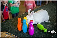 LCFAIR15-7799.jpg