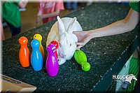 LCFAIR15-7800.jpg