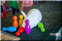 LCFAIR15-7801.jpg