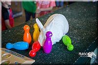 LCFAIR15-7802.jpg