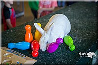 LCFAIR15-7803.jpg