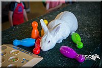 LCFAIR15-7805.jpg