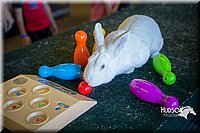 LCFAIR15-7806.jpg