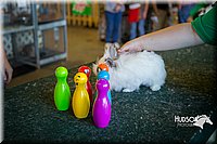 LCFAIR15-7814.jpg