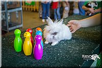 LCFAIR15-7817.jpg