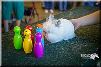 LCFAIR15-7818.jpg