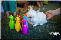 LCFAIR15-7819.jpg