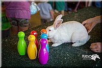 LCFAIR15-7820.jpg