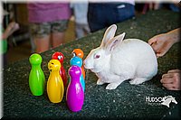 LCFAIR15-7821.jpg