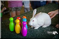 LCFAIR15-7822.jpg