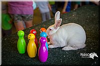 LCFAIR15-7825.jpg
