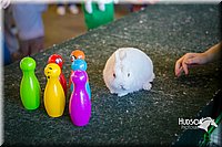 LCFAIR15-7828.jpg