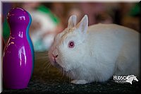 LCFAIR15-7829.jpg