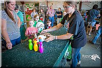 LCFAIR15-7835.jpg