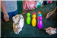 LCFAIR15-7836.jpg
