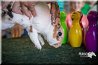 LCFAIR15-7837.jpg